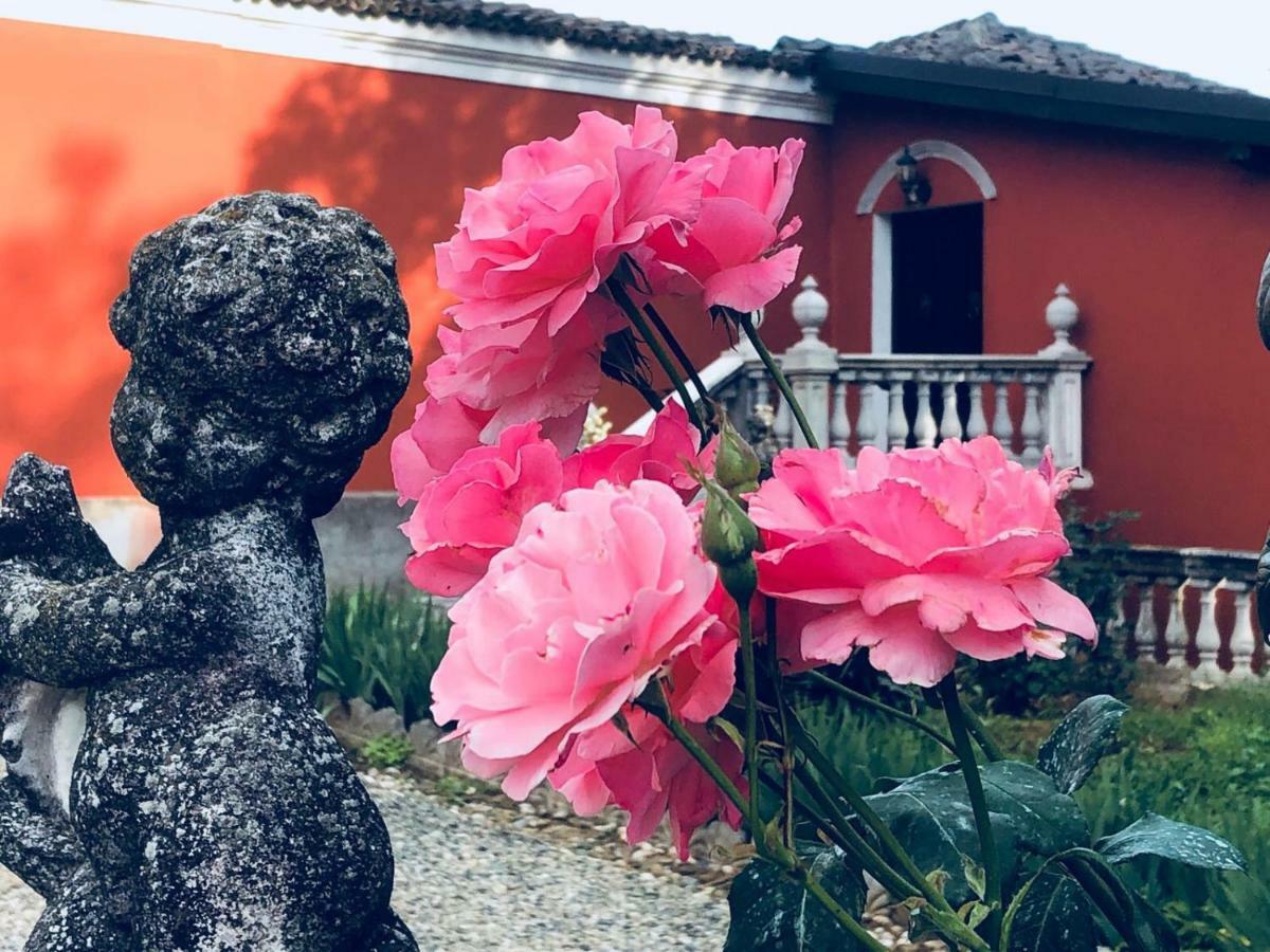 Charme Of Villa Capannina Novi Ligure Ngoại thất bức ảnh